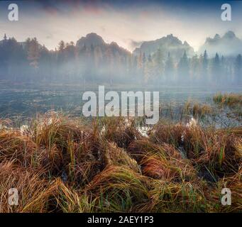 Misty outdoor Szene auf Antorno See. Bunte Herbst morgen in Dolomiten, Nationalpark Tre Cime di Lavaredo, Italien, Europa. Stockfoto