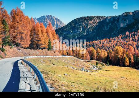 Fantastische Sunny View der Dolomiten mit gelben Lärchen. Bunte Herbst Szene in die Berge. Giau Lage, Italien, Europa. Stockfoto