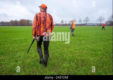 REUTUM, Niederlande - 07 Dez, 2019: Männer mit Schrotflinte und Sticks sind zu Fuß in einer Zeile in einem offenen Feld Jagd auf Hasen en Fasane. Stockfoto