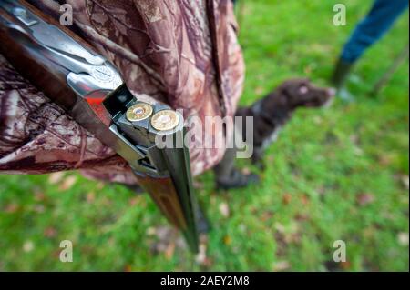 REUTUM, Niederlande - 07 Dez, 2019: Der Mann mit der Schrotflinte Jagd auf Hasen en Fasane. Stockfoto