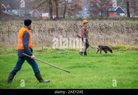 REUTUM, Niederlande - 07 Dez, 2019: Männer mit Schrotflinte und Sticks sind zu Fuß auf einer Linie in einem offenen Feld Jagd auf Hasen en Fasane. Stockfoto