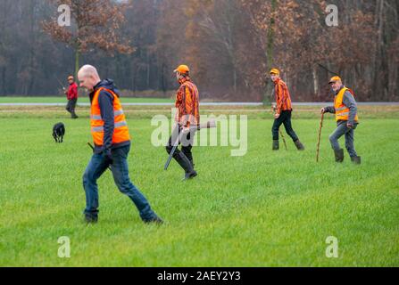 REUTUM, Niederlande - 07 Dez, 2019: Männer mit Schrotflinte und Sticks sind zu Fuß auf einer Linie in einem offenen Feld Jagd auf Hasen en Fasane. Stockfoto