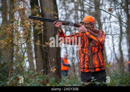 REUTUM, Niederlande - 07 Dez, 2019: Der Mann mit der Schrotflinte strebt eine Fasane zu schießen. Stockfoto