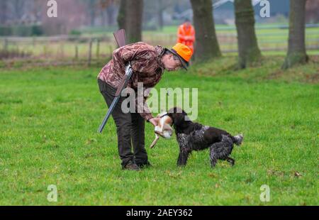 REUTUM, Niederlande - 07 Dez, 2019: Ein Hund bringt einen toten Hasen zu seinem Besitzer, was gerade von ihm geschossen wurde. Stockfoto