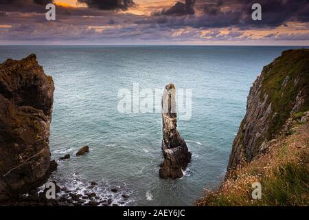 Sonnenaufgang am Stack Felsen auf Pembrokeshire Coast, South Wales, UK. Rock Pinnacle, Kalkstein Säule. beliebte Sehenswürdigkeit auf dramatische, zerklüftete Küste. Erosion. Stockfoto