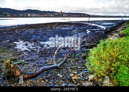 Ebbe in Bidassoa Mund, Hendaye, Pyrénées-Atlantique, Frankreich Stockfoto