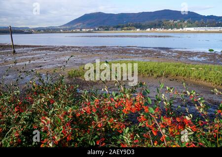 Bidassoa River bei Ebbe, Hendaye, Pyrénées-Atlantique, Frankreich Stockfoto