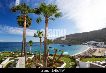 Panorama in Mykonos, Kykladen, Griechenland. Palmen im Vordergrund. Stockfoto