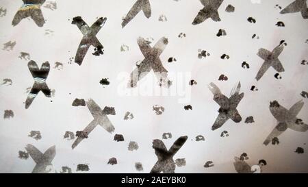 Schwarze Schilder mit Gouache und Pinsel gezeichnet. Stockfoto