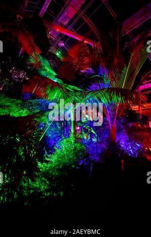 Tropische Pflanzen im Gewächshaus bei Glow 2019, RHS Wisley, Woking, Surrey, eine jährliche saisonale Veranstaltung der Illuminationen im Botanischen Garten Stockfoto