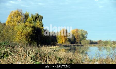 Untere Derwent Valley im Herbst Stockfoto