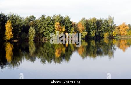 Norden Höhle Feuchtgebiete im Herbst Stockfoto