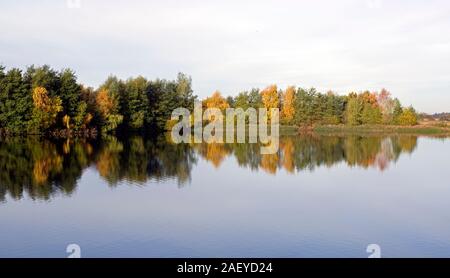 Norden Höhle Feuchtgebiete im Herbst Stockfoto