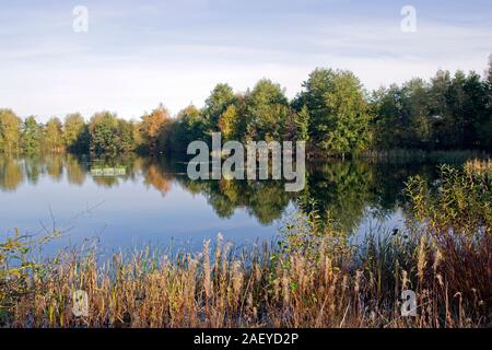 Norden Höhle Feuchtgebiete im Herbst die Karpfen See Stockfoto