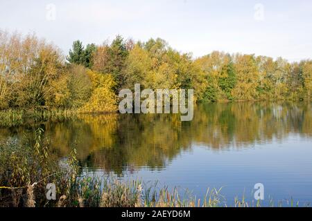 Norden Höhle Feuchtgebiete im Herbst die Karpfen See Stockfoto