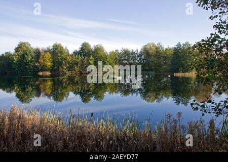 Norden Höhle Feuchtgebiete im Herbst die Karpfen See Stockfoto