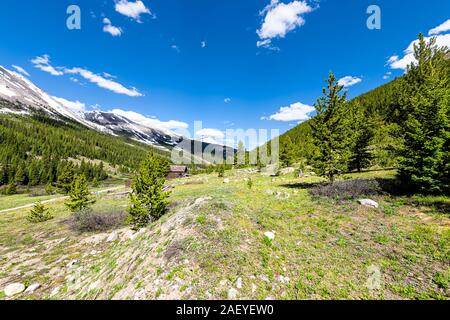 Independence Pass Bergbau Stadt Weitwinkelansicht Kabinen in White River National Forest in Colorado mit grünen Pinien und Schnee Berge Stockfoto