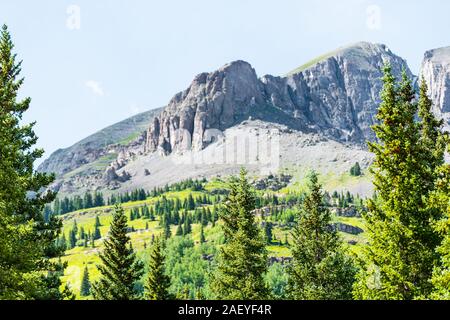 Grünen Pinienwald Bäume Sommer Blick vom Colorado million Dollar highway Scenic Road 550 San Juan Rocky Mountains in der Nähe von Silverton Stockfoto