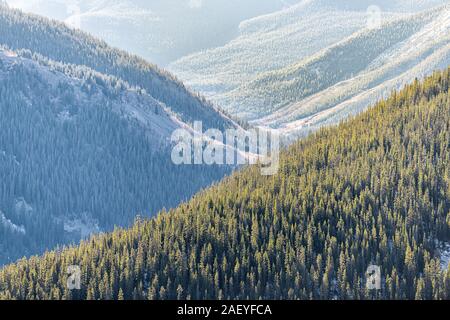 Rocky Mountains hohen Winkel Sonnenaufgang ansehen und Pinien Wald Muster bei Continental auf Independence Pass in Colorado, Herbst 2019 Teilen Stockfoto