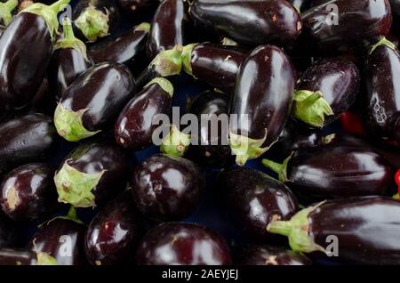 Auberginen auf Verkauf in einem Markt in Athen Griechenland Stockfoto