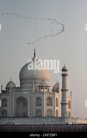 Das Taj Mahal ist ein Elfenbein - weißer Marmor islamisches Mausoleum in Agra, Uttar Pradesh, Indien. Seit 1986 ist es zum UNESCO-Weltkulturerbe.