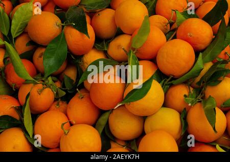 Frische Orangen auf Verkauf in einem Markt in Athen Griechenland Stockfoto