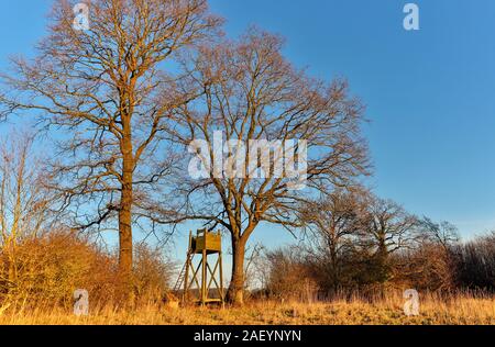 Einsam gelegener Hochsitz in der Nähe eines kleinen Sees in Norddeutschland. Stockfoto