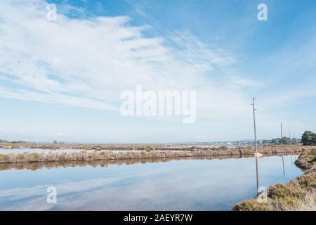 Feuchtgebiet in Salins-les-Bains die Es Trenc, Saline in den natürlichen geschützten Park. Mallorca Balearen Stockfoto