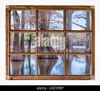 Kahlen Zypressen auf einem See bei Sonnenaufgang im Herbst Landschaft wie aus einem Jahrgang Kabine Fenster gesehen Stockfoto