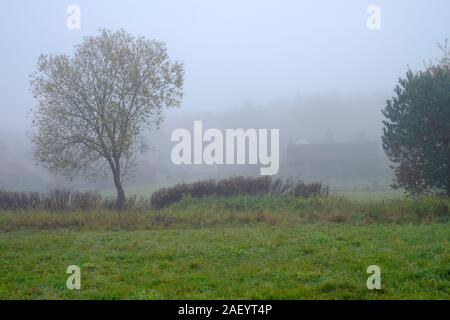 Eine unheimliche niedrig gelegenen Bank von Winter Nebel und Dunst Formen auf der Basis von einem Tal in einer frühen Winter Dämmerung zala Ungarn Stockfoto