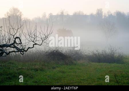 Eine unheimliche niedrig gelegenen Bank von Winter Nebel und Dunst Formen auf der Basis von einem Tal in einer frühen Winter Dämmerung zala Ungarn Stockfoto