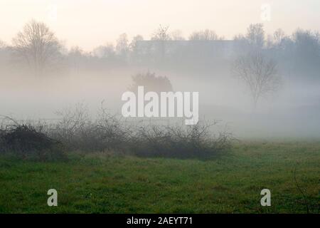 Eine unheimliche niedrig gelegenen Bank von Winter Nebel und Dunst Formen auf der Basis von einem Tal in einer frühen Winter Dämmerung zala Ungarn Stockfoto