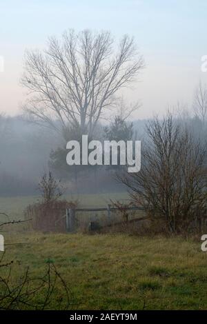 Eine unheimliche niedrig gelegenen Bank von Winter Nebel und Dunst Formen auf der Basis von einem Tal in einer frühen Winter Dämmerung zala Ungarn Stockfoto