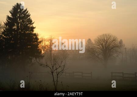 Eine unheimliche niedrig gelegenen Bank von Winter Nebel und Dunst Formen auf der Basis von einem Tal in einer frühen Winter Dämmerung zala Ungarn Stockfoto