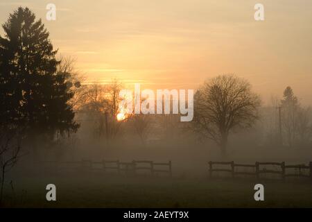 Eine unheimliche niedrig gelegenen Bank von Winter Nebel und Dunst Formen auf der Basis von einem Tal in einer frühen Winter Dämmerung zala Ungarn Stockfoto