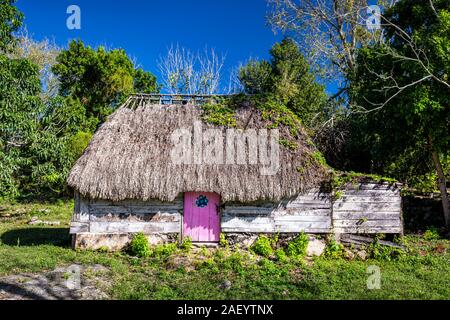 Ein reetdach Haus in der bunten Dorf Chaacchoben, Quintana Roo, Mexiko. Stockfoto