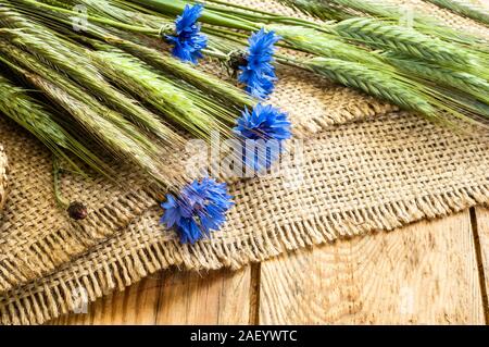 Blaue Blumen Kornblumen und Ähren, Kolben und Rispen von Getreide auf dem Feld auf rustikalen Hintergrund geerntet. Stockfoto
