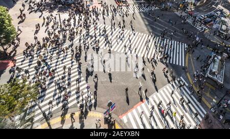 Motion Blur von überfüllten Menschen zu Fuß und Auto Verkehr Transport auf Shibuya scramble Crossing, hohe Blickwinkel betrachten. Tokio Touristenattraktion, Japan Tourismus Stockfoto