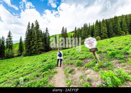 Mount Crested Butte, USA - Juni 21, 2019: Kiefer Wald Bäume mit Frau Wanderer durch die Anmeldung im Sommer für Snodgrass und Washington Gulch Wanderwege in Colorado Stockfoto