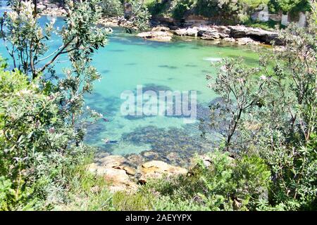 Gordons Bay, Bondi Beach in Sydney, Australien. Idyllischen Strand in den östlichen Vororten von Sydney. Stockfoto