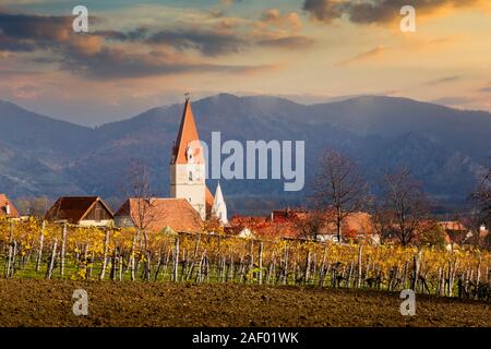 Kirche in Weissenkirchen. Wachau. Niederösterreich. Herbst bunte Blätter und Weinberge auf einen Sonnenuntergang. Stockfoto