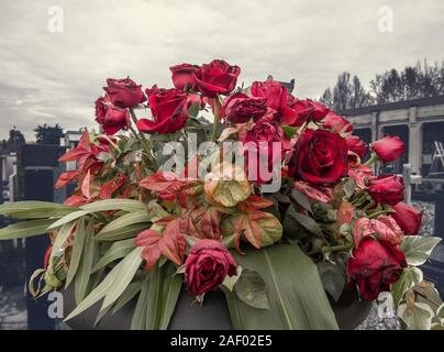 Bündel verdorrte rote Rosen in einer Vase Stockfoto