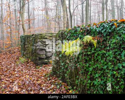 Ruinen der Wittekindsburg Castle in der Nähe von Rulle, Osnabrueck-Land, Niedersachsen, Deutschland, rechteckigen Turm der Burg von Herzog Widukind. Stockfoto