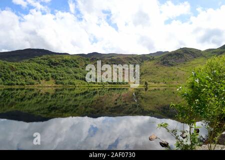 Reflexionen in Llyn Gwynant, Snowdonia National Park Stockfoto