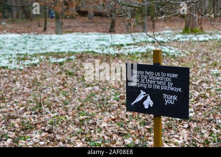 Ein Schild mit der Aufschrift "gehwege behalten' unter den Gemeinsamen Schneeglöckchen (Galanthus nivalis) in die Bäume an Attingham Park, Shropshire, England, Großbritannien Stockfoto