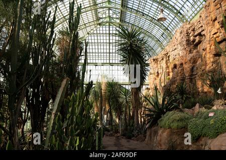 Österreich, Wien - 4. DEZEMBER 2019: Interieur mit metallischem Glas Decke Struktur der Wüste Haus botanischen Garten von Schloss Schönbrunn Stockfoto