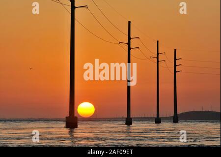 Elektrische Überlandleitungen über dem Atlantik, Silhouetted, während Golden Sunset, neben 7 Mile Bridge (Route 1), Marathon Key, Florida, USA Stockfoto