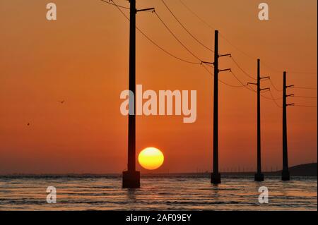 Elektrische Überlandleitungen über dem Atlantik, Silhouetted, während Golden Sunset, neben 7 Mile Bridge (Route 1), Marathon Key, Florida, USA Stockfoto