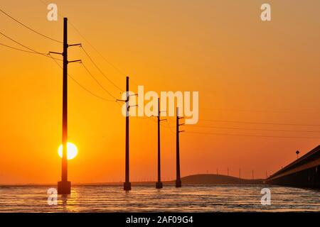 Elektrische Überlandleitungen über dem Atlantik, Silhouetted, während Golden Sunset, neben 7 Mile Bridge (Route 1), Marathon Key, Florida, USA Stockfoto