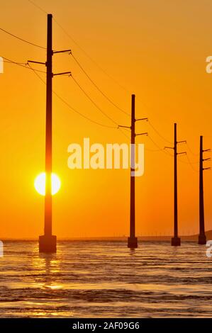 Elektrische Überlandleitungen über dem Atlantik, Silhouetted, während Golden Sunset, neben 7 Mile Bridge (Route 1), Marathon Key, Florida, USA Stockfoto